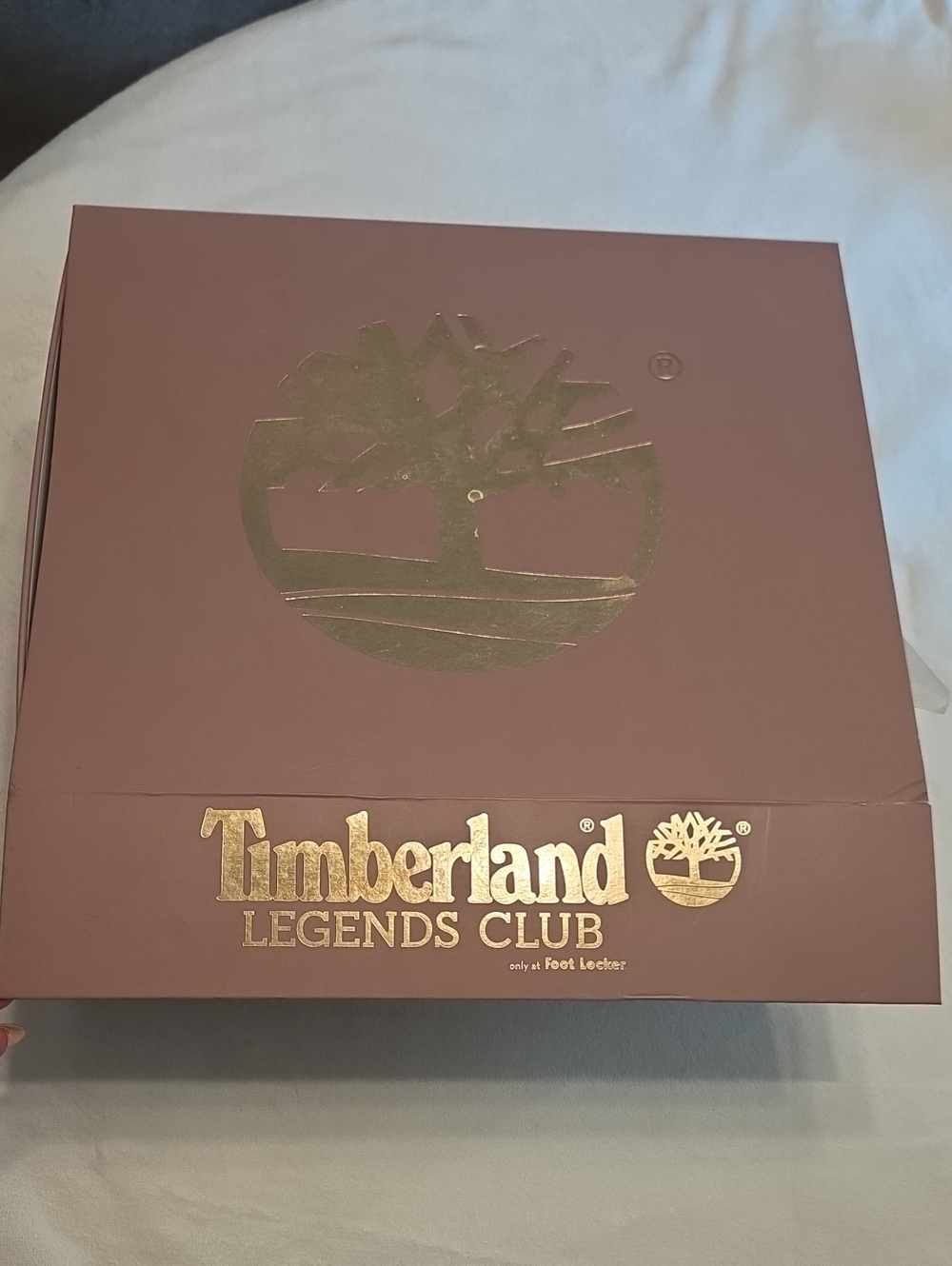 Women's Timberland Pink Hiking/Work Boot